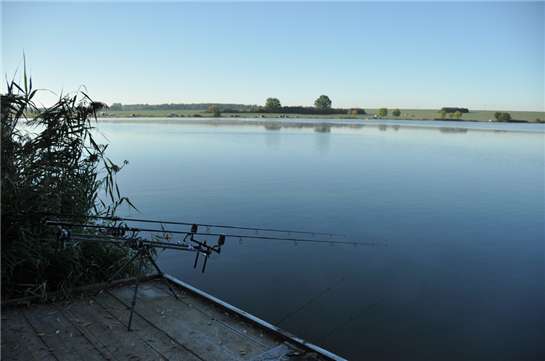 http://www.fish-pro.cz/images/articles/445/23296.jpg